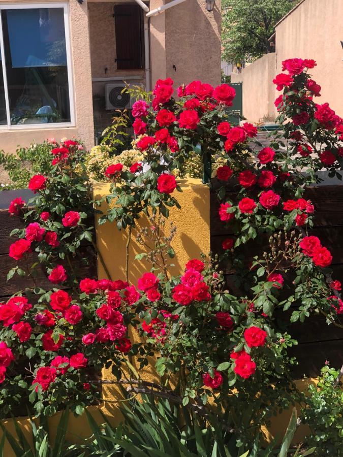 Bed and Breakfast Chez Guy Marsella Exterior foto